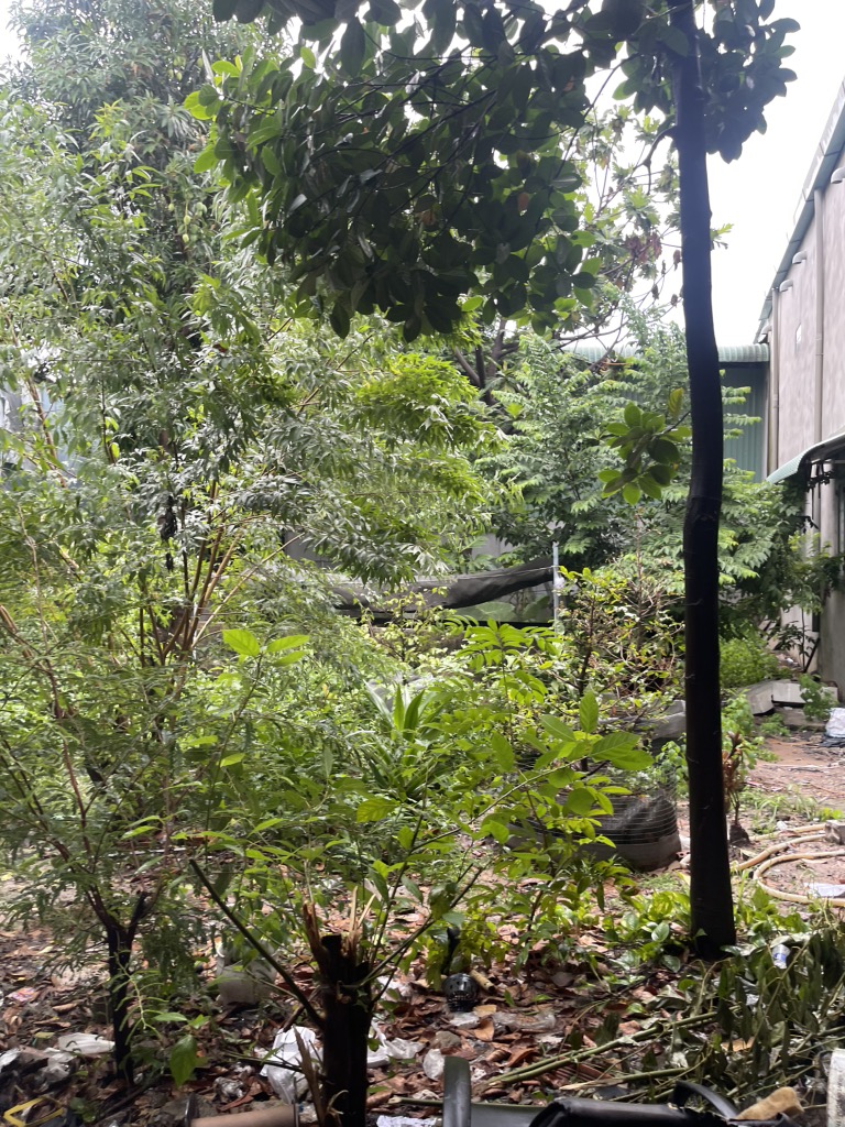 ĐẤT THỔ CƯ 870m2 - 26.5 TỶ - Trần Thị Hè, Hiệp Thành, Q12 - Cơ Hội Đầu Tư Vàng! - Ảnh chính